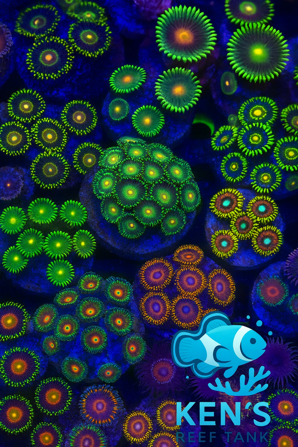 Zoas