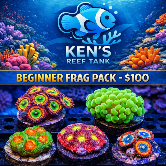Beginner frag pack