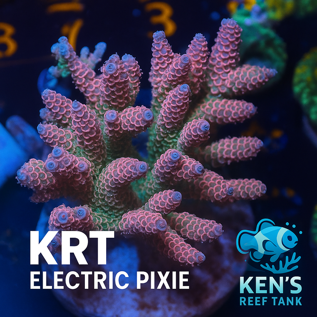 KRT Electric Pixie